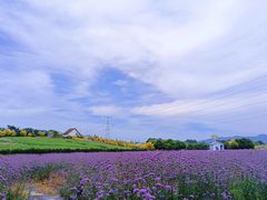-紫颐香薰山谷景区