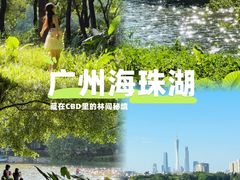 -海珠湖公园