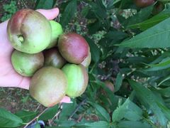 iphone_upload_pic-旺山景区