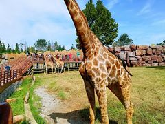 -济南野生动物世界