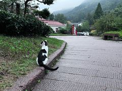 -九华山聚龙大酒店