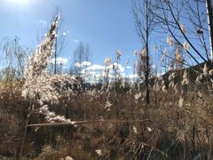 -泸沽湖国家级风景名胜区走婚桥