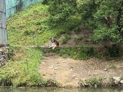 -宁波野生动物园