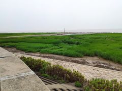 -南汇嘴观海公园