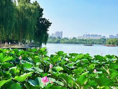 -济南大明湖景区