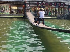 -杨家寨