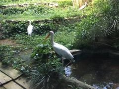 -河川生态园