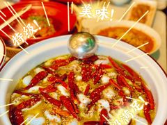 -青花椒花椒鱼(合生汇店)