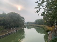 -大兴滨河森林公园