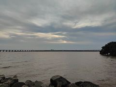 -宝安西湾红树林湿地公园