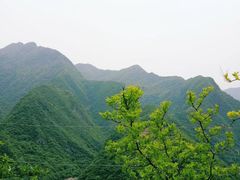 景点-黑河国家森林公园