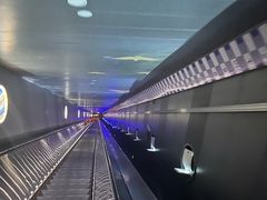 -白鹤梁水下博物馆