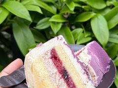 -黑池口感烘焙·生日蛋糕(坂田店)