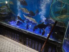 水产区-盒马鲜生(悠方店)