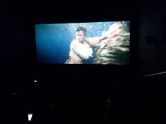 -奥斯卡升龙国际影城(RealD Cinema)