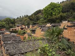 -杨家堂村