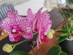 -白沙驿小院(番禺亚运城店)