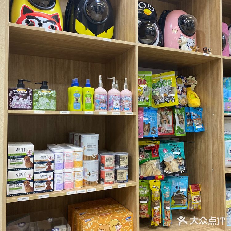 沈阳｜安利一家靠谱的宠物医院给大家