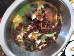 毛里求斯小四川饭店-毛里求斯小四川餐厅总店