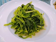 -朝郡酒家·粤菜(燕大星苑店)