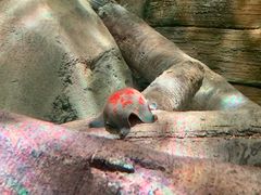 -沈阳海洋探索中心