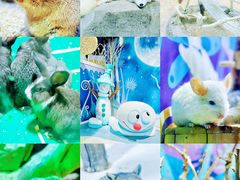 -海合安青岛极地海洋公园