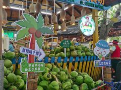 -海南分界洲岛旅游区