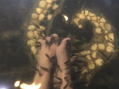 -陆地游轮吉林神农温泉