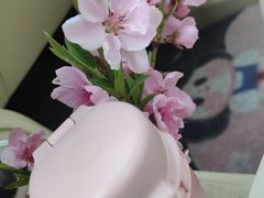 -南汇桃花村