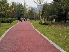 -温江公园