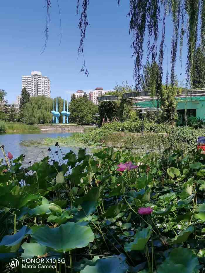 是個免費的公園,園內有些歐洲建築,冬天來這裡有點荒涼沒花沒草,還有