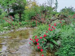 -成飞公园