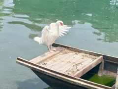 -晋祠博物馆