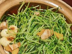 川香焗豆苗-廖川菜(金虹桥店)