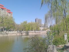 -文瀛公园