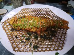 -天天向上素食餐厅(五台山店)