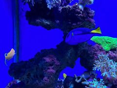 -海合安青岛极地海洋公园