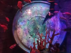 -沈阳海洋探索中心