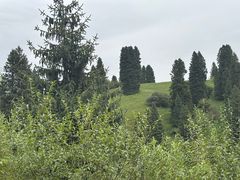 -新疆那拉提国家旅游度假区