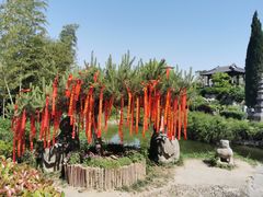 -徐州龟山景区