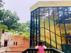 -三鹰之森吉卜力美术馆