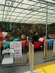 -大望京儿童游乐场