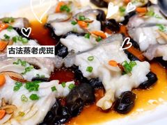 古法蒸老虎斑-利苑酒家(金宝店)