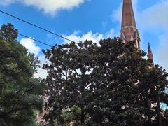 -LESCEDARS Brasserie Bistro香柏树