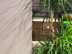 -管氏翅吧(地安门创始店)
