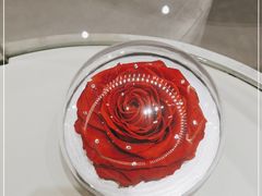 -ROSEONLY诺誓(青岛万象城店)