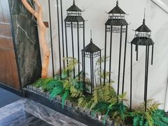 -院里寻菜·精致庭院菜(观沙岭店)