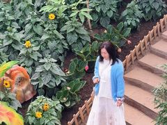 -沈阳植物园