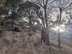 -森林公园(尖草坪区)