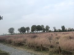 -汉长安城未央宫国家考古遗址公园